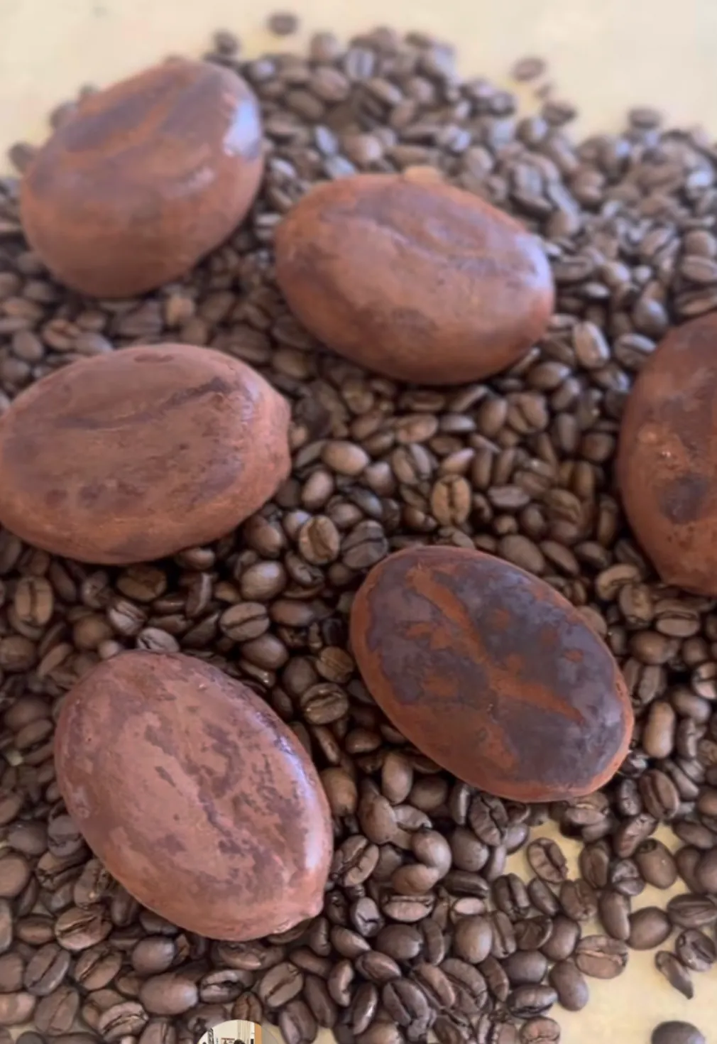 Chicchi di caffè scelti e tostati — caffè selezionato, Luca Santimaria Atelier Firenze